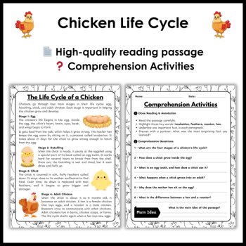 Chicken Life Cycle Reading Comprehension Activities | Cut and Paste Worksheet, image 2