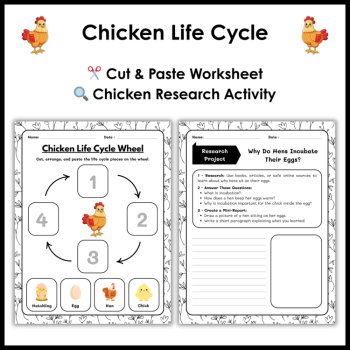 Chicken Life Cycle Reading Comprehension Activities | Cut and Paste Worksheet, image 3