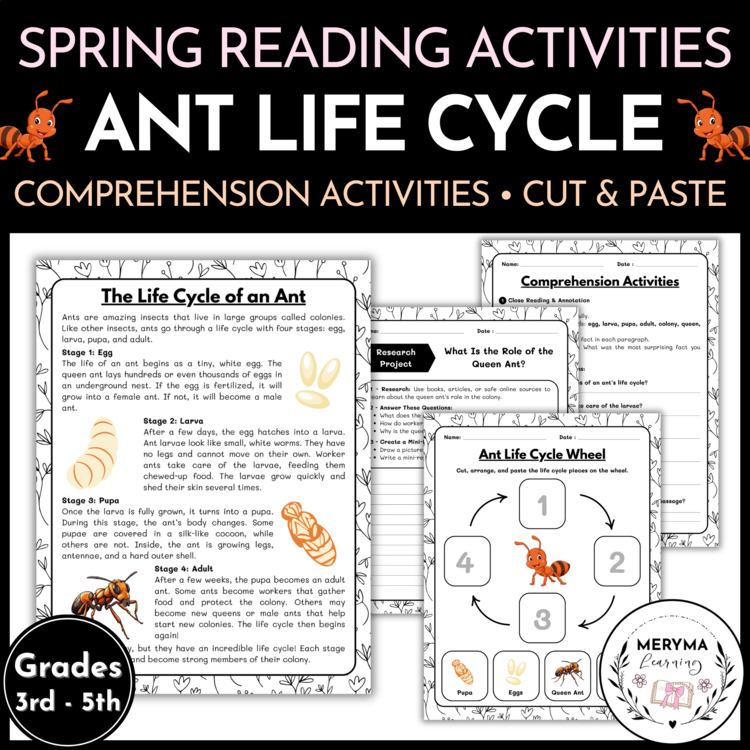 Ant Life Cycle Reading Comprehension Activities | Cut and Paste Worksheet
