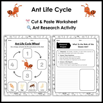 Ant Life Cycle Reading Comprehension Activities | Cut and Paste Worksheet, image 3