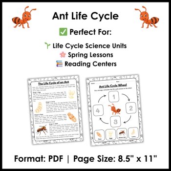 Ant Life Cycle Reading Comprehension Activities | Cut and Paste Worksheet, image 4