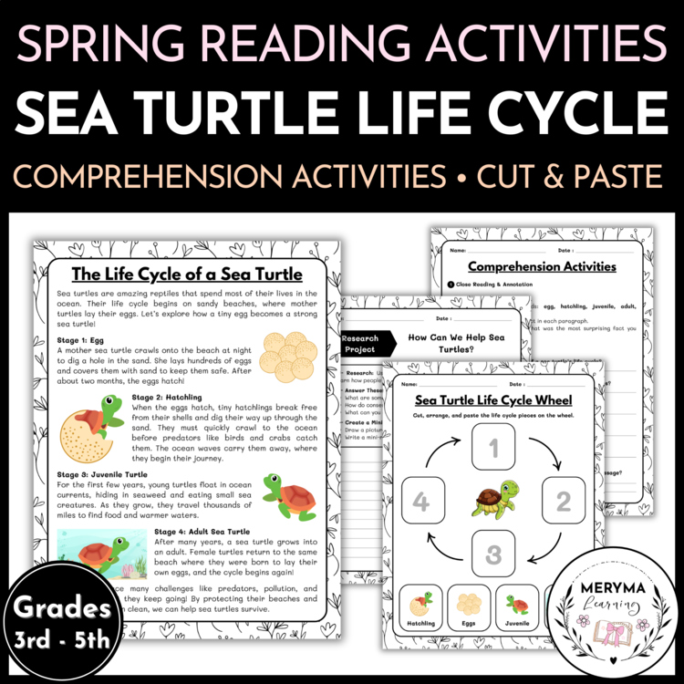 Sea Turtle Life Cycle Reading Comprehension | Cut and Paste Worksheet