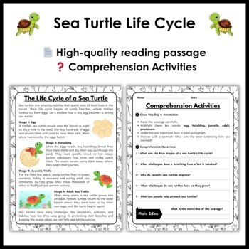 Sea Turtle Life Cycle Reading Comprehension | Cut and Paste Worksheet, image 2