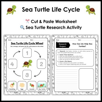 Sea Turtle Life Cycle Reading Comprehension | Cut and Paste Worksheet, image 3