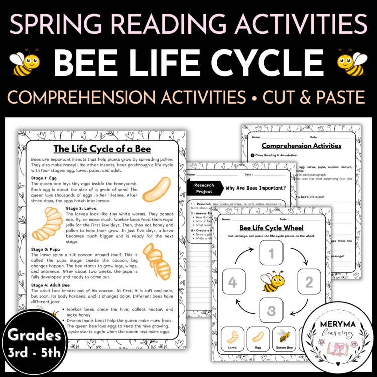 Bee Life Cycle Reading Comprehension Activities | Cut and Paste Worksheet