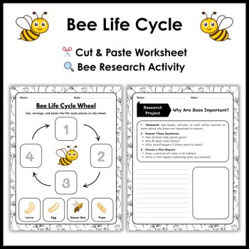 Bee Life Cycle Reading Comprehension Activities | Cut and Paste Worksheet, image 3