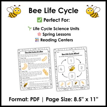 Bee Life Cycle Reading Comprehension Activities | Cut and Paste Worksheet, image 4