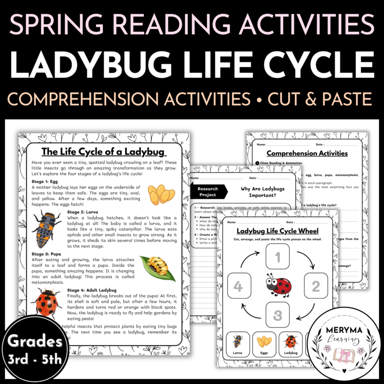 Ladybug Life Cycle Reading Comprehension Activities | Cut and Paste Worksheet