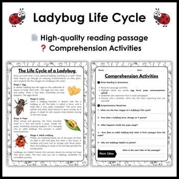 Ladybug Life Cycle Reading Comprehension Activities | Cut and Paste Worksheet, image 2