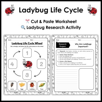 Ladybug Life Cycle Reading Comprehension Activities | Cut and Paste Worksheet, image 3