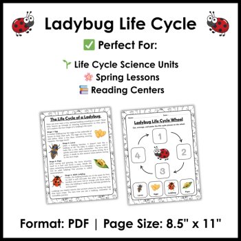 Ladybug Life Cycle Reading Comprehension Activities | Cut and Paste Worksheet, image 4
