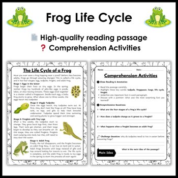 Frog Life Cycle Reading Comprehension Activities | Cut and Paste Worksheet, image 2