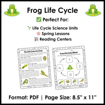Frog Life Cycle Reading Comprehension Activities | Cut and Paste Worksheet, image 4