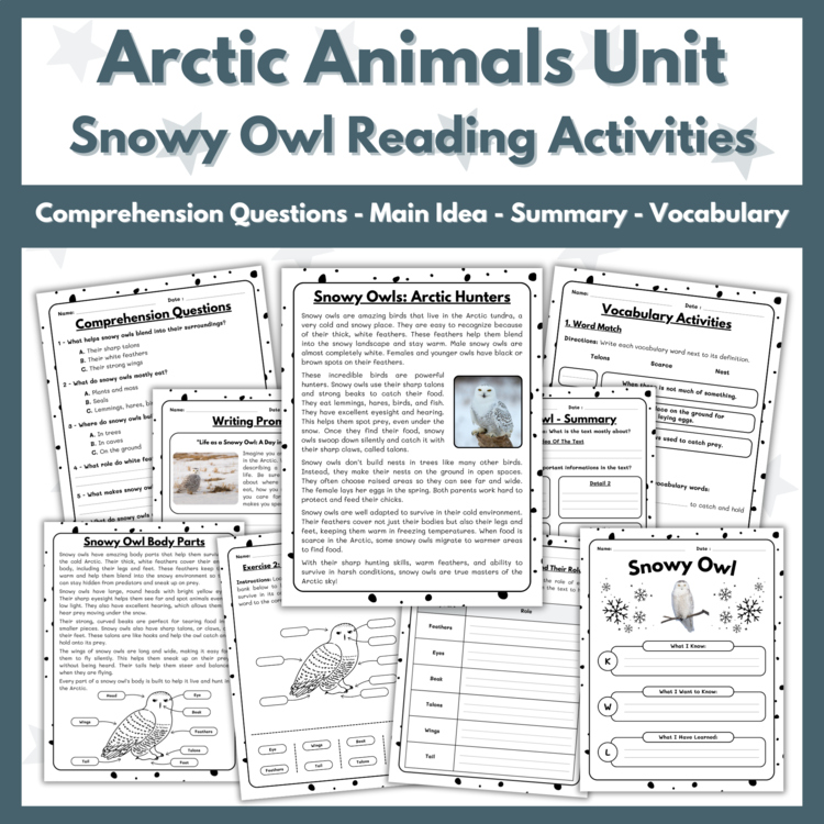 Snowy Owl Reading Comprehension Activities - Arctic Animals Unit