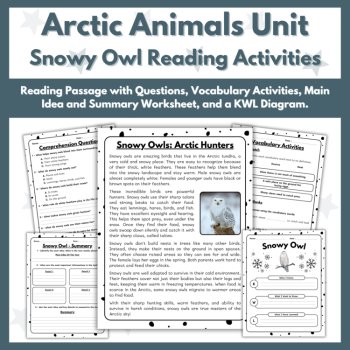 Snowy Owl Reading Comprehension Activities - Arctic Animals Unit, image 2