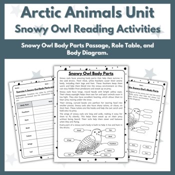 Snowy Owl Reading Comprehension Activities - Arctic Animals Unit, image 3