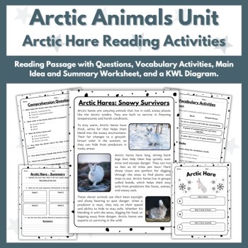 Arctic Hare Reading Comprehension Activities - Arctic Animals Unit, image 2