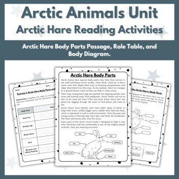 Arctic Hare Reading Comprehension Activities - Arctic Animals Unit, image 3