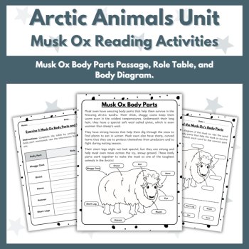 Musk Ox Reading Comprehension Activities - Arctic Animals Unit, image 3
