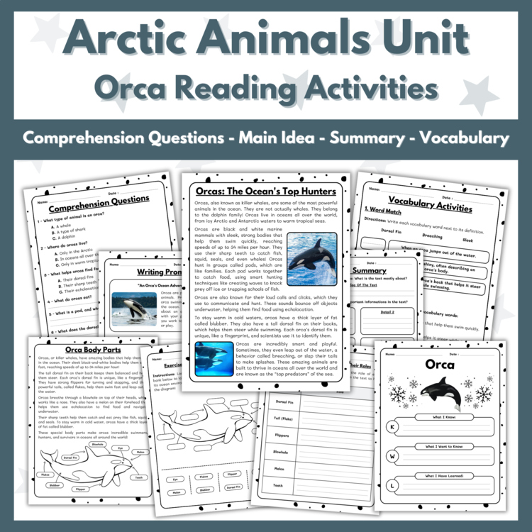 Orca (Killer Whale) Reading Comprehension Activities - Arctic Animals Unit