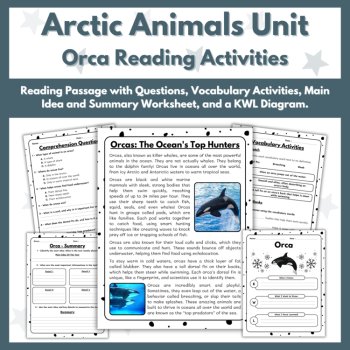 Orca (Killer Whale) Reading Comprehension Activities - Arctic Animals Unit, image 2