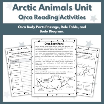 Orca (Killer Whale) Reading Comprehension Activities - Arctic Animals Unit, image 3