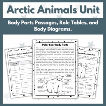 Polar and Arctic Animals Unit - Reading Comprehension and Writing Activities, image 3
