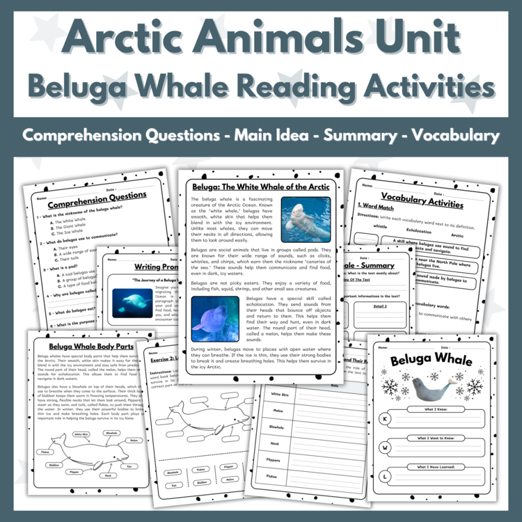 Beluga Whale Reading Comprehension Activities - Arctic Animals Unit