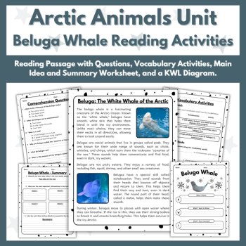 Beluga Whale Reading Comprehension Activities - Arctic Animals Unit, image 2