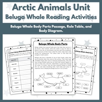 Beluga Whale Reading Comprehension Activities - Arctic Animals Unit, image 3