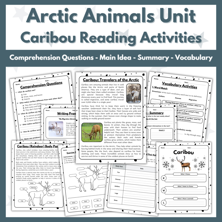 Caribou (Reindeer) Reading Comprehension Activities - Arctic Animals Unit