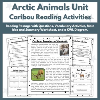 Caribou (Reindeer) Reading Comprehension Activities - Arctic Animals Unit, image 2