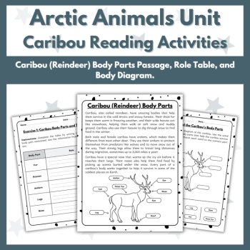 Caribou (Reindeer) Reading Comprehension Activities - Arctic Animals Unit, image 3