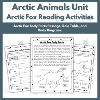 Arctic Fox Reading Comprehension Activities - Arctic Animals Unit, image 3