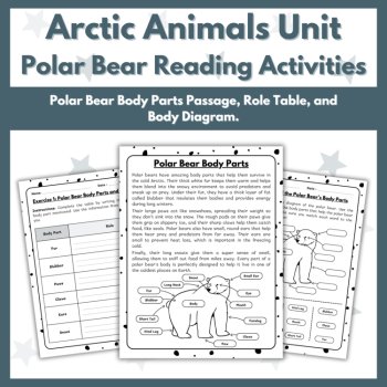 Polar Bear Reading Comprehension Activities - Arctic Animals Unit, image 3