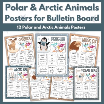 Polar & Arctic Animals Posters and Research Project Templates - Bulletin Board, image 2