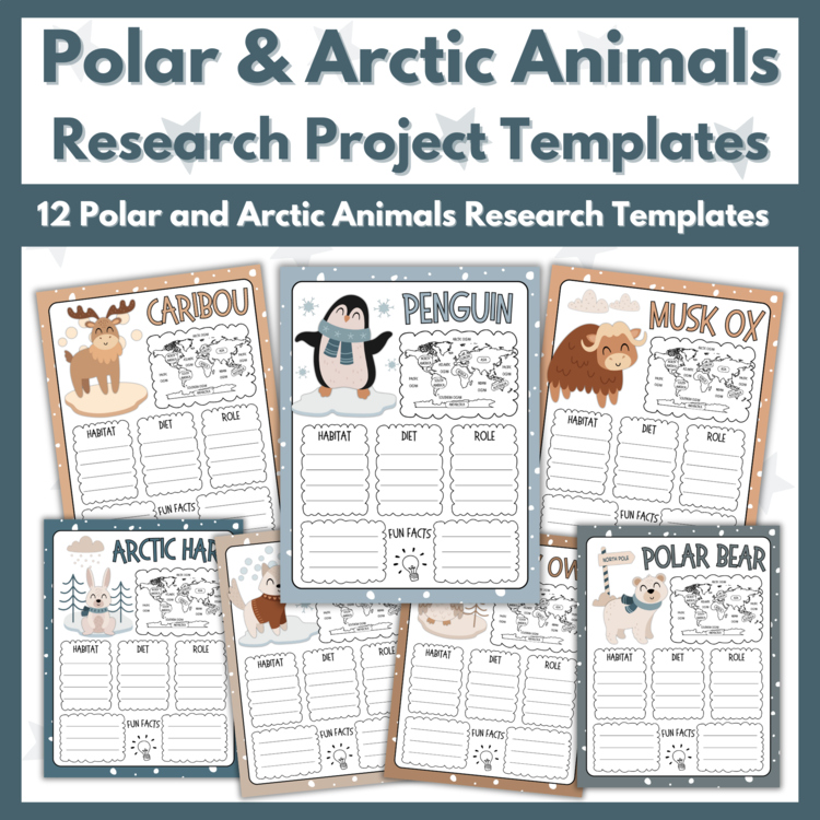 Polar and Arctic Animals Research Project Templates - Winter Bulletin Board