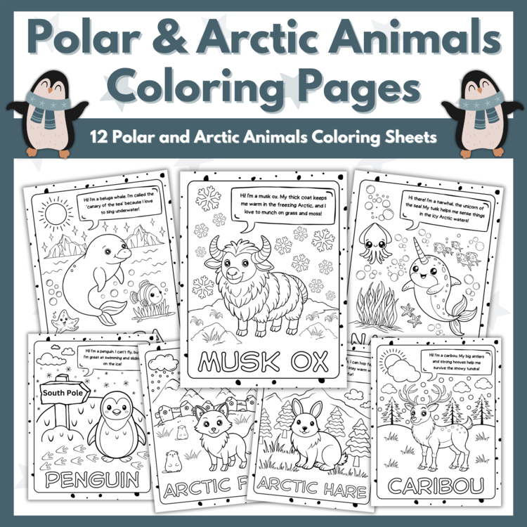 Polar and Arctic Animals Coloring Pages - Winter Coloring Sheets