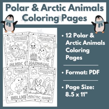 Polar and Arctic Animals Coloring Pages - Winter Coloring Sheets, image 3