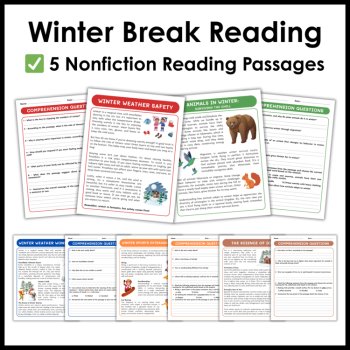 Winter Break Reading Comprehension Packet - Fiction and Nonfiction Passages, image 3