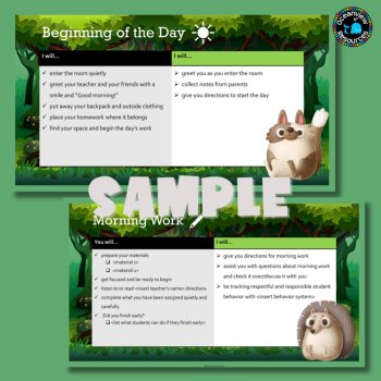 Editable Teacher Expectations PowerPoint - Classroom Management -back to school, image 2