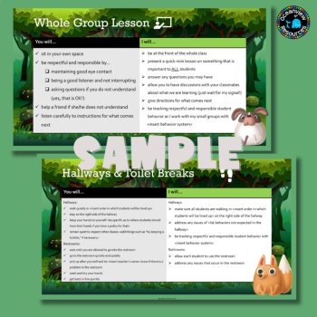 Editable Teacher Expectations PowerPoint - Classroom Management -back to school, image 3