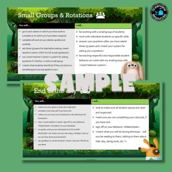 Editable Teacher Expectations PowerPoint - Classroom Management -back to school, image 4