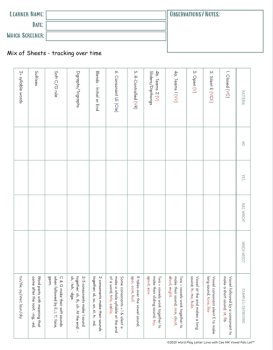 Quick Literacy Screen Phonics + Write 5ws 1h | Dyslexia ADHD EF OG, image 3
