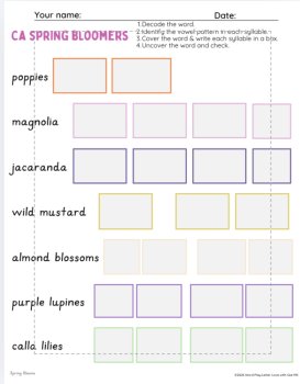 Quick Literacy Screen & Worksheets + Flower Phonics  | Dyslexia ADHD OG SOR, image 4
