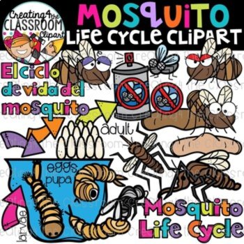 Life Cycles Clipart Bundle 3 {Life Cycles Clipart}, image 2