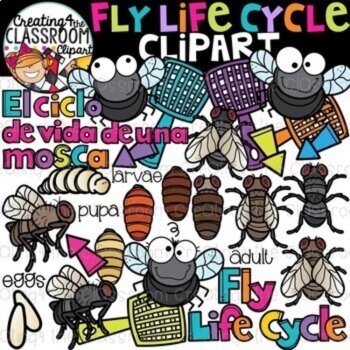Life Cycles Clipart Bundle 3 {Life Cycles Clipart}, image 3
