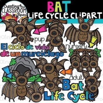 Life Cycles Clipart Bundle 2 {Life Cycles Clipart}, image 2