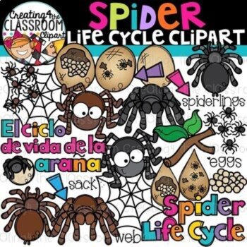 Life Cycles Clipart Bundle 2 {Life Cycles Clipart}, image 3