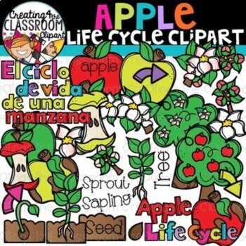 Life Cycles Clipart Bundle 2 {Life Cycles Clipart}, image 4